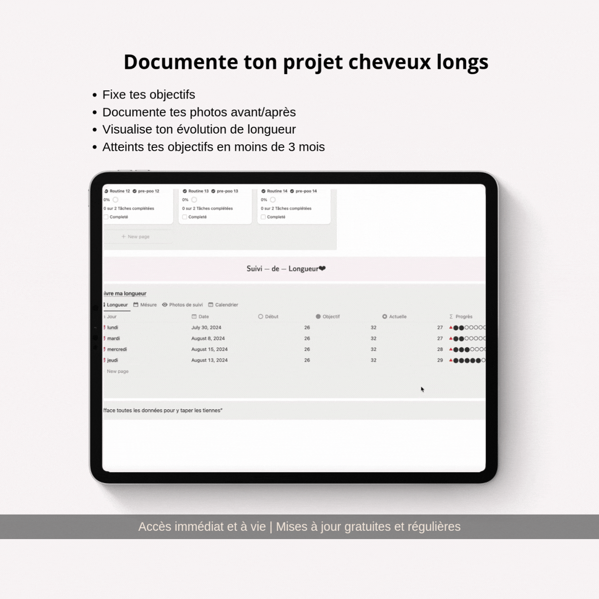 Mon Journal de Suivi Capillaire 3 mois